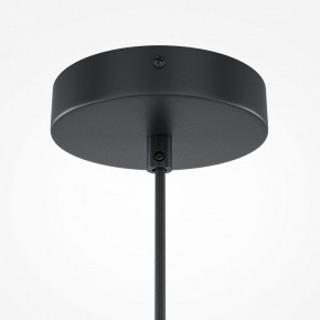 Подвесной светильник Maytoni Roots MOD193PL-01W1 в Когалыме - kogalym.mebel24.online | фото 5
