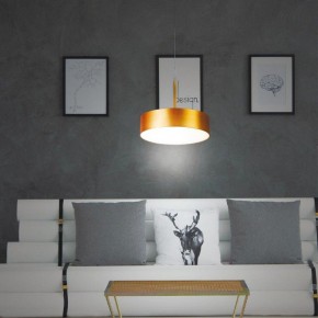 Подвесной светильник Novotech Prometa 358766 в Когалыме - kogalym.mebel24.online | фото 4