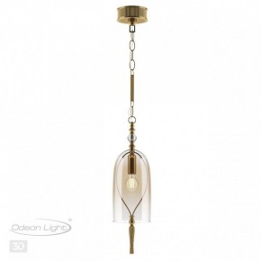 Подвесной светильник Odeon Light Bell 4892/1 в Когалыме - kogalym.mebel24.online | фото 5