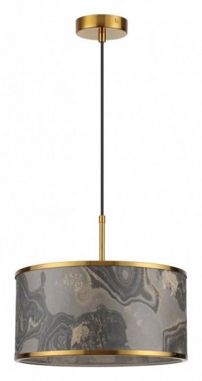 Подвесной светильник Odeon Light Bergi 5064/1 в Когалыме - kogalym.mebel24.online | фото 2