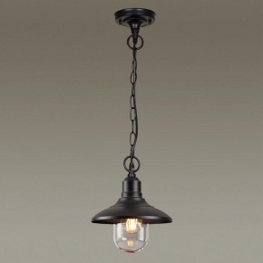 Подвесной светильник Odeon Light Campa 4965/1 в Когалыме - kogalym.mebel24.online | фото 2