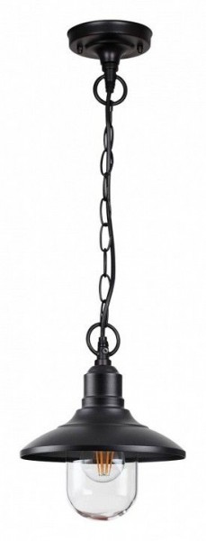 Подвесной светильник Odeon Light Campa 4965/1 в Когалыме - kogalym.mebel24.online | фото 3