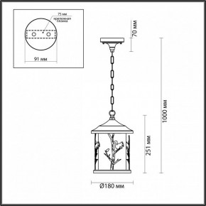 Подвесной светильник Odeon Light Cuita 4963/1 в Когалыме - kogalym.mebel24.online | фото 6