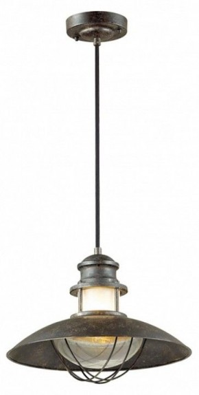 Подвесной светильник Odeon Light Dante 4164/1 в Когалыме - kogalym.mebel24.online | фото 2