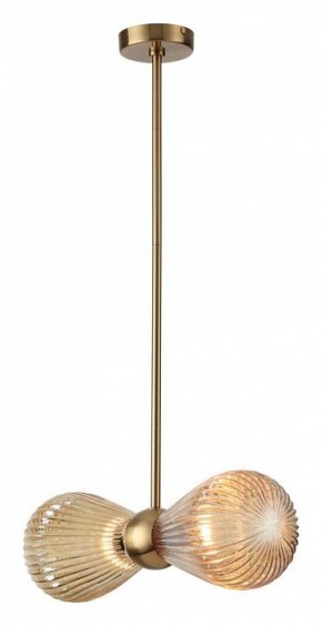 Подвесной светильник Odeon Light Elica 5402/2 в Когалыме - kogalym.mebel24.online | фото 2