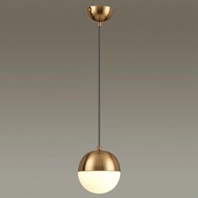 Подвесной светильник Odeon Light Pinga 4960/1 в Когалыме - kogalym.mebel24.online | фото 2