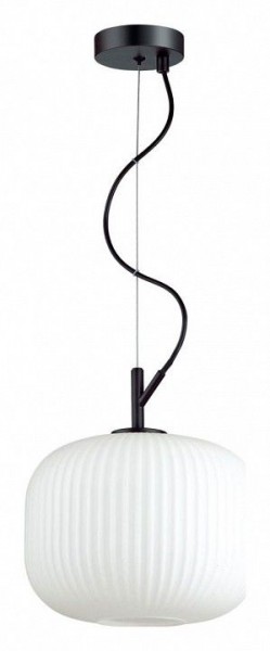 Подвесной светильник Odeon Light Roofi 4753/1 в Когалыме - kogalym.mebel24.online | фото 2
