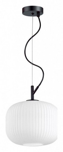 Подвесной светильник Odeon Light Roofi 4753/1 в Когалыме - kogalym.mebel24.online | фото 3