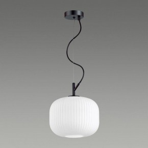 Подвесной светильник Odeon Light Roofi 4753/1 в Когалыме - kogalym.mebel24.online | фото 4