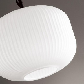 Подвесной светильник Odeon Light Roofi 4753/1 в Когалыме - kogalym.mebel24.online | фото 7