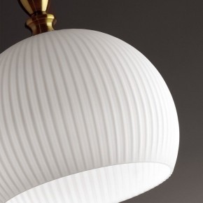 Подвесной светильник Odeon Light Runga 4767/1 в Когалыме - kogalym.mebel24.online | фото 8