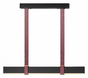 Подвесной светильник Odeon Light Vincent 6629/25L в Когалыме - kogalym.mebel24.online | фото 2