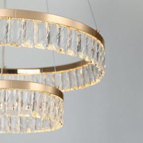 Подвесной светильник Rivoli Erika Б0061969 в Когалыме - kogalym.mebel24.online | фото 11