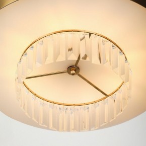 Подвесной светильник Rivoli Vickie Б0061902 в Когалыме - kogalym.mebel24.online | фото 11