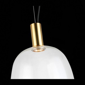 Подвесной светильник ST-Luce Allenore SL1582.313.01 в Когалыме - kogalym.mebel24.online | фото 9