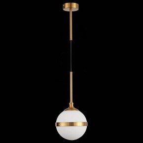 Подвесной светильник ST-Luce Arbe SL1157.303.01 в Когалыме - kogalym.mebel24.online | фото 4