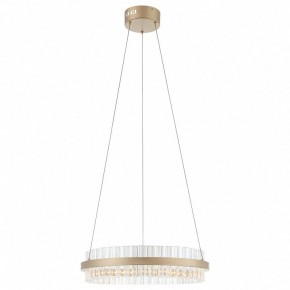 Подвесной светильник ST-Luce Cherio SL383.203.01 в Когалыме - kogalym.mebel24.online | фото 3