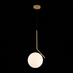 Подвесной светильник ST-Luce Codda SL1148.303.01 в Когалыме - kogalym.mebel24.online | фото 5