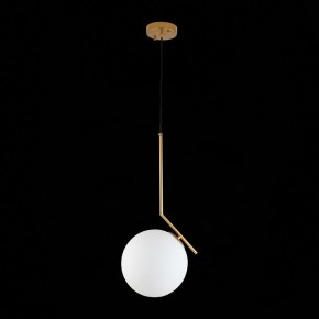 Подвесной светильник ST-Luce Codda SL1148.303.01 в Когалыме - kogalym.mebel24.online | фото 6