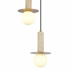 Подвесной светильник ST-Luce Earthy SL1194.303.03 в Когалыме - kogalym.mebel24.online | фото 4