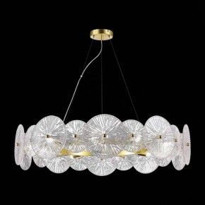 Подвесной светильник ST-Luce Flero SL1657.203.10 в Когалыме - kogalym.mebel24.online | фото 4