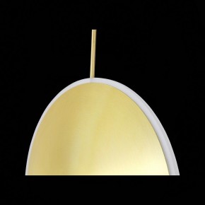 Подвесной светильник ST-Luce Imente SL1221.213.01 в Когалыме - kogalym.mebel24.online | фото 9
