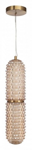 Подвесной светильник ST-Luce SAGUARO SL6144.303.01 в Когалыме - kogalym.mebel24.online | фото 3