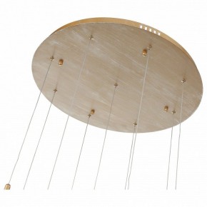 Подвесной светильник ST-Luce SL1116 SL1116.203.09 в Когалыме - kogalym.mebel24.online | фото 4