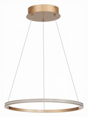Подвесной светильник ST-Luce ST604 OUT ST604.243.22 в Когалыме - kogalym.mebel24.online | фото 2