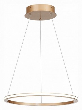 Подвесной светильник ST-Luce ST604 OUT ST604.243.22 в Когалыме - kogalym.mebel24.online | фото 3