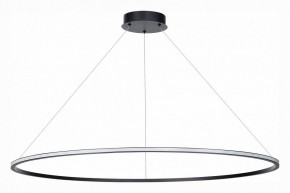 Подвесной светильник ST-Luce ST604 OUT ST604.443.46 в Когалыме - kogalym.mebel24.online | фото 2