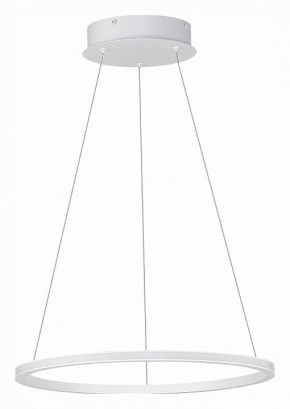 Подвесной светильник ST-Luce ST604 OUT ST604.543.22 в Когалыме - kogalym.mebel24.online | фото 2