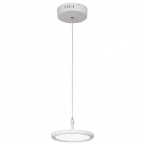 Подвесной светильник Vitaluce V4604 V4604-0/1S в Когалыме - kogalym.mebel24.online | фото 2