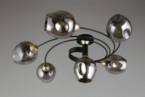 Потолочная люстра Aployt Flor APL.611.17.06 в Когалыме - kogalym.mebel24.online | фото 1