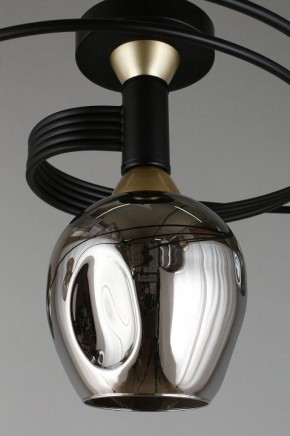 Потолочная люстра Aployt Flor APL.611.17.06 в Когалыме - kogalym.mebel24.online | фото 9