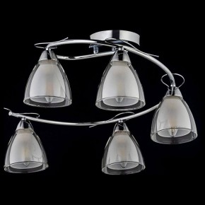 Потолочная люстра Arti Lampadari Paola, Tavenna Nickel Paola E 1.1.5 N в Когалыме - kogalym.mebel24.online | фото 2