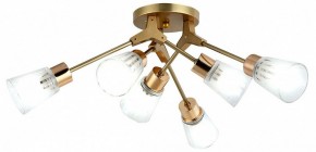 Потолочная люстра Escada Felicia 1137/6P в Когалыме - kogalym.mebel24.online | фото 2