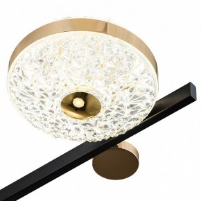 Потолочная люстра Escada Liberta 10219/6LED в Когалыме - kogalym.mebel24.online | фото 6