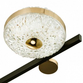 Потолочная люстра Escada Liberta 10219/6LED в Когалыме - kogalym.mebel24.online | фото 7