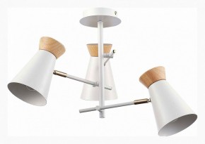 Потолочная люстра EVOLUCE Alfeo SLE1252-502-03 в Когалыме - kogalym.mebel24.online | фото 2