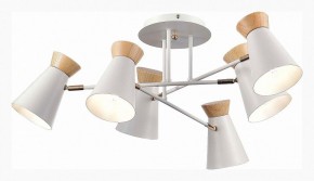 Потолочная люстра EVOLUCE Alfeo SLE1252-502-06 в Когалыме - kogalym.mebel24.online | фото