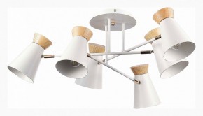 Потолочная люстра EVOLUCE Alfeo SLE1252-502-06 в Когалыме - kogalym.mebel24.online | фото 2