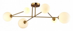Потолочная люстра EVOLUCE Fantini SLE2211-302-06 в Когалыме - kogalym.mebel24.online | фото 3