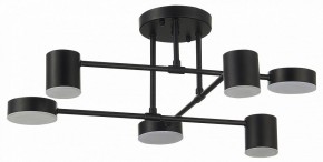 Потолочная люстра EVOLUCE Nobel SLE201042-06 в Когалыме - kogalym.mebel24.online | фото 11