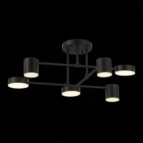 Потолочная люстра EVOLUCE Nobel SLE201042-06 в Когалыме - kogalym.mebel24.online | фото 13
