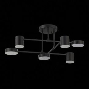 Потолочная люстра EVOLUCE Nobel SLE201042-06 в Когалыме - kogalym.mebel24.online | фото 14