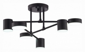Потолочная люстра EVOLUCE Nobel SLE201042-06 в Когалыме - kogalym.mebel24.online | фото 5