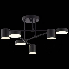 Потолочная люстра EVOLUCE Nobel SLE201042-06 в Когалыме - kogalym.mebel24.online | фото 6