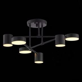 Потолочная люстра EVOLUCE Nobel SLE201042-06 в Когалыме - kogalym.mebel24.online | фото 7