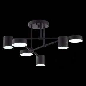 Потолочная люстра EVOLUCE Nobel SLE201042-06 в Когалыме - kogalym.mebel24.online | фото 9